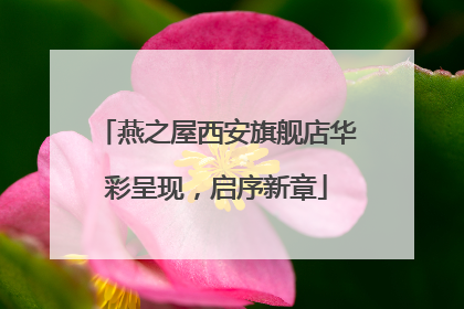 燕之屋西安旗舰店华彩呈现，启序新章
