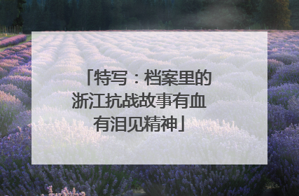 特写：档案里的浙江抗战故事有血有泪见精神
