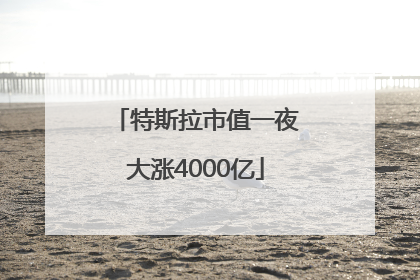 特斯拉市值一夜大涨4000亿