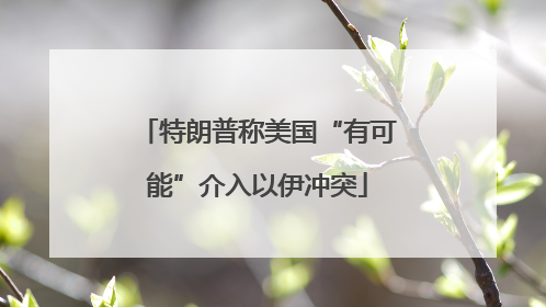 特朗普称美国“有可能”介入以伊冲突
