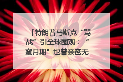 特朗普马斯克“骂战”引全球围观：“蜜月期”也曾亲密无间｜国际观察