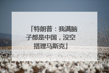 特朗普：我满脑子都是中国，没空搭理马斯克