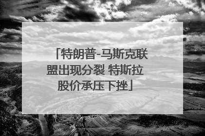 特朗普-马斯克联盟出现分裂 特斯拉股价承压下挫