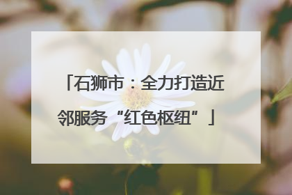 石狮市：全力打造近邻服务“红色枢纽”