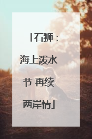 石狮：海上泼水节 再续两岸情