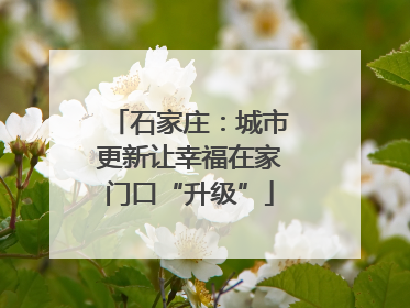 石家庄：城市更新让幸福在家门口“升级”