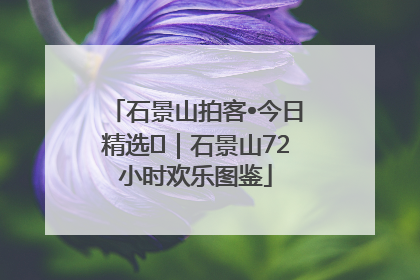石景山拍客•今日精选⑲｜石景山72小时欢乐图鉴