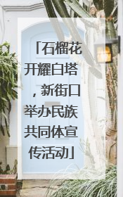 石榴花开耀白塔，新街口举办民族共同体宣传活动