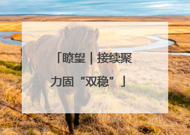 瞭望｜接续聚力固“双稳”
