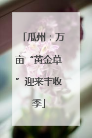 瓜州：万亩“黄金草”迎来丰收季