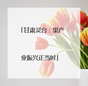 甘肃灵台：果产业振兴正当时