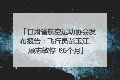 甘肃省航空运动协会发布报告：飞行员彭玉江、顾志敏停飞6个月