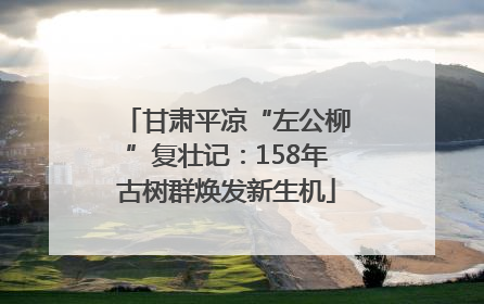 甘肃平凉“左公柳”复壮记：158年古树群焕发新生机
