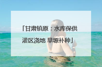 甘肃镇原：水库保供 灌区浇地 旱塬补种