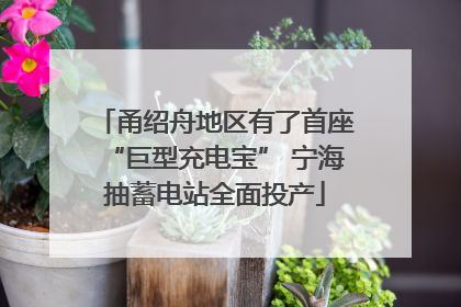 甬绍舟地区有了首座“巨型充电宝” 宁海抽蓄电站全面投产