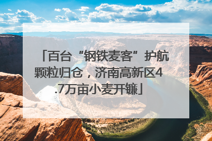 百台“钢铁麦客”护航颗粒归仓，济南高新区4.7万亩小麦开镰
