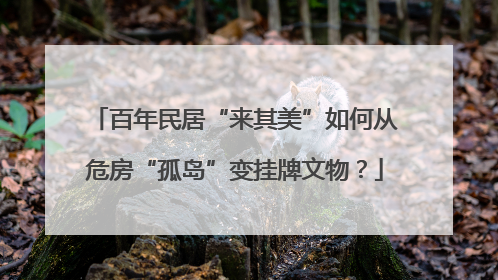 百年民居“来其美”如何从危房“孤岛”变挂牌文物？