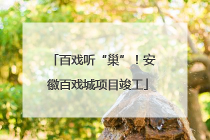 百戏听“巢”！安徽百戏城项目竣工