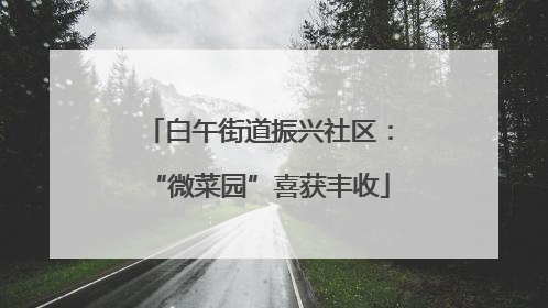 白午街道振兴社区：“微菜园”喜获丰收