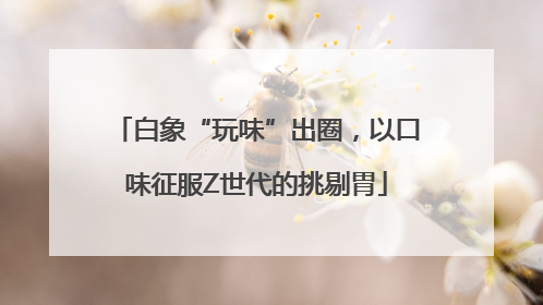 白象“玩味”出圈，以口味征服Z世代的挑剔胃