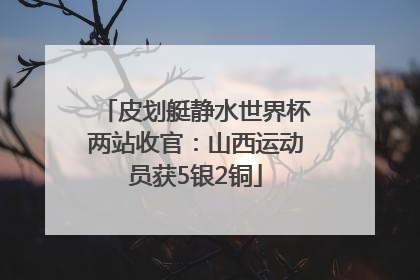 皮划艇静水世界杯两站收官：山西运动员获5银2铜