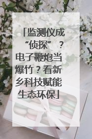 监测仪成“侦探”？电子鞭炮当爆竹？看新乡科技赋能生态环保