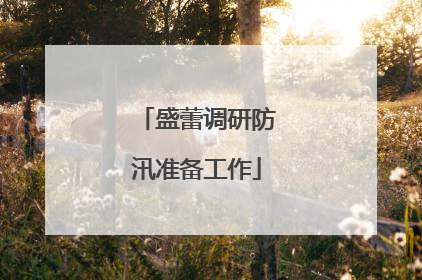 盛蕾调研防汛准备工作