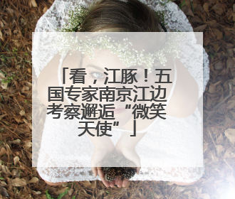 看，江豚！五国专家南京江边考察邂逅“微笑天使”