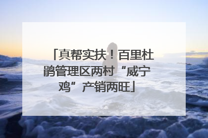 真帮实扶！百里杜鹃管理区两村“威宁鸡”产销两旺