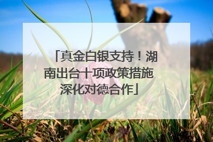 真金白银支持！湖南出台十项政策措施深化对德合作