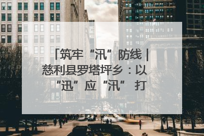 筑牢“汛”防线｜慈利县罗塔坪乡：以“迅”应“汛” 打赢暴雨防御战