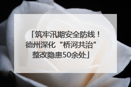 筑牢汛期安全防线！德州深化“桥河共治”整改隐患50余处
