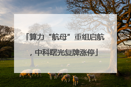 算力“航母”重组启航，中科曙光复牌涨停