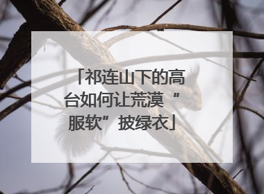 祁连山下的高台如何让荒漠“服软”披绿衣