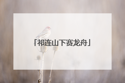 祁连山下赛龙舟