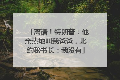 离谱！特朗普：他亲热地叫我爸爸，北约秘书长：我没有