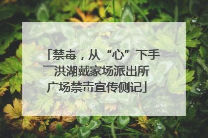 禁毒，从“心”下手――洪湖戴家场派出所广场禁毒宣传侧记