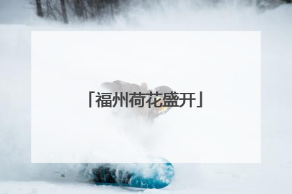 福州荷花盛开