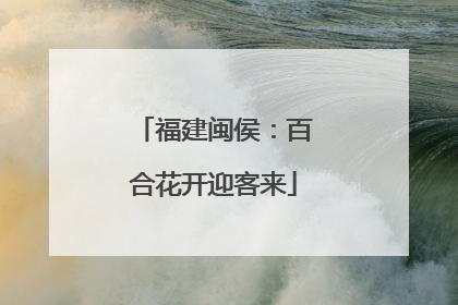 福建闽侯：百合花开迎客来
