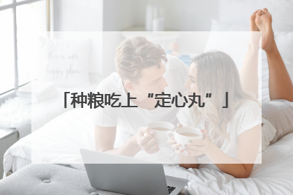 种粮吃上“定心丸”