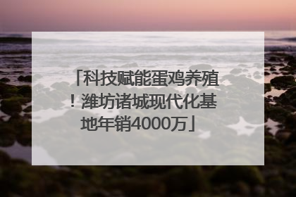科技赋能蛋鸡养殖！潍坊诸城现代化基地年销4000万
