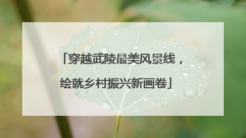 穿越武陵最美风景线，绘就乡村振兴新画卷