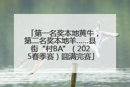 第一名奖本地黄牛，第二名奖本地羊……县街“村BA”（2025春季赛）圆满完赛