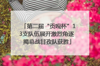 第二届“贡嘎杯”13支队伍展开激烈角逐 揭幕战甘孜队获胜