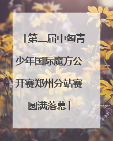第二届中匈青少年国际魔方公开赛郑州分站赛圆满落幕