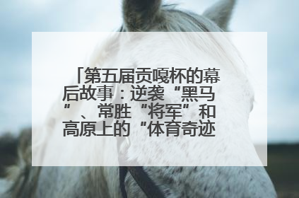 第五届贡嘎杯的幕后故事：逆袭“黑马”、常胜“将军”和高原上的“体育奇迹”丨微纪录