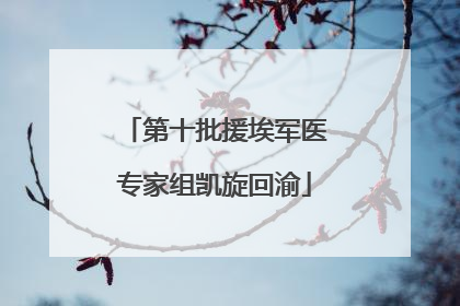 第十批援埃军医专家组凯旋回渝
