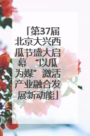 第37届北京大兴西瓜节盛大启幕 “以瓜为媒”激活产业融合发展新动能