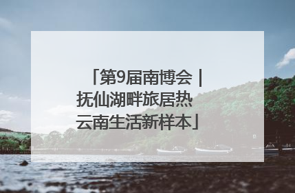 第9届南博会｜抚仙湖畔旅居热 云南生活新样本