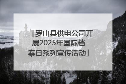 罗山县供电公司开展2025年国际档案日系列宣传活动